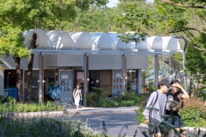 A modern concrete storefront with white awnings and flowers in the foreground.