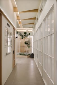 Modern, minimalist corridor featuring glass walls and ceiling beams.