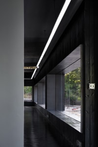 A modern office space featuring black wood elements, with natural light streaming through expansive windows.