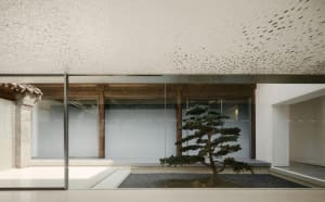 A minimalist Japanese-style interior with glass and metal frame walls showcasing modern design elements.