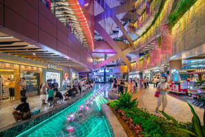 A vibrant shopping center with modern lighting fixtures, plants, and a central water feature.
