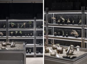 Various potted plants and figurines displayed on metal shelves against a dark background.
