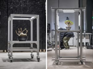 Industrial plant incubator with metal frame and acrylic panels