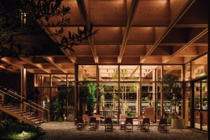 An industrial-style coffee shop interior with wooden elements and potted plants.