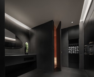 A modern bathroom with black stone walls and a cactus plant.