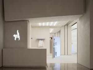 A minimalist retail storefront featuring concrete walls and a sleek, modern design.