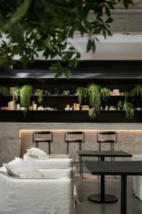 A modern cafe interior with concrete walls, metal furniture, and hanging plants.
