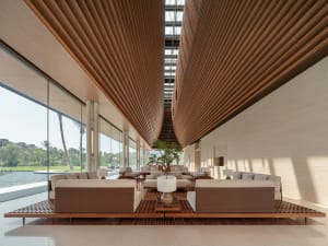 A modern lobby featuring elegant furniture, wooden panels, glass walls, and a large tree.