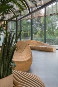 Modern lobby featuring curved wooden benches and green plants