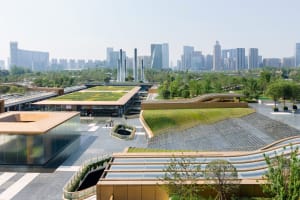 Modern landscape featuring natural wood elements