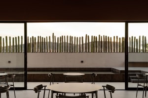 Minimalist interior design featuring concrete elements and cactus wall.