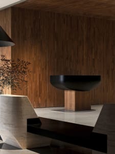 Modern industrial-style lobby featuring wooden walls and a black bowl-shaped feature.