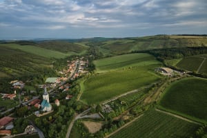 Aerial view of a village with rolling hills, green fields, a church, and vineyards.