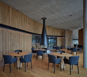 Round tables surrounded by blue chairs within a contemporary restaurant interior