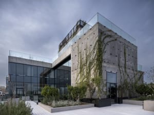 Modern commercial office space with concrete walls, glass windows, and green plantings on the exterior.