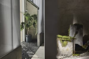 A minimalist lobby featuring a concrete interior design with a potted plant in a black container and a concrete structure wit