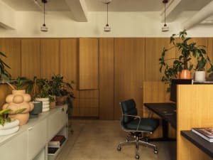 A modern office space featuring wood panels, concrete floors, and potted plants.