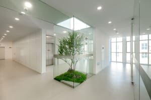 A modern, industrial corporate entryway featuring a glass-enclosed green tree.