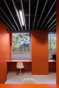 A minimalist office interior with orange walls and a window overlooking trees.