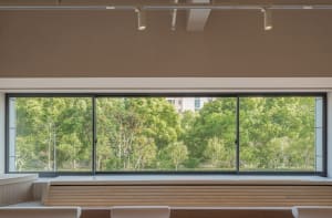 A modern window scene featuring a wooden frame with a view of lush greenery outside.