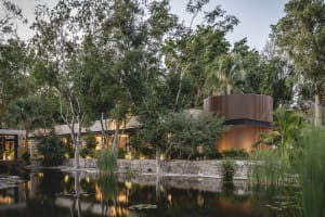 Modern house with wooden panels and concrete structure surrounded by lush greenery and a tranquil pond.