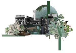 A collage featuring various urban landscapes integrated with natural greenery.