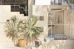 A modern, minimalist front entryway made of concrete with a geometric design and a large palm plant.