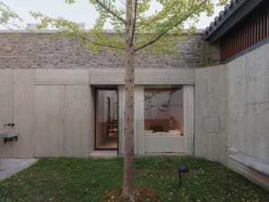 A minimalist residential building with concrete walls and a single tree in the garden.