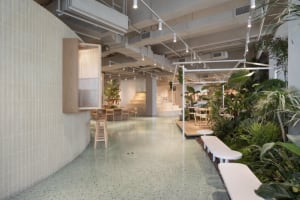 Modern interior of a coffee shop featuring plant-based materials, with greenery and natural light