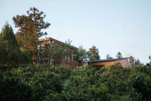 A modern residential building with a wooden exterior, surrounded by greenery.