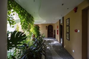 A hallway adorned with lush greenery and plant materials, combining natural elements with architectural design.