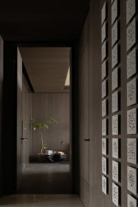 A minimalist entrance featuring wood panels and a potted plant.