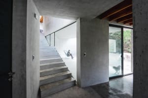 Concrete stairs leading to a minimalistic living space with exposed concrete columns and large glass windows.