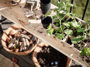 A garden workspace featuring a wooden table with seedlings, pots, and gardening supplies.