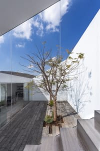 A minimalist interior space featuring concrete elements and greenery.