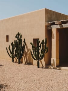 A minimalist adobe building exterior with cacti in the foreground under a clear blue sky.