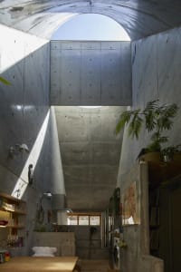 A modern industrial kitchen with concrete walls and high ceiling, featuring a wooden dining table and various plants.