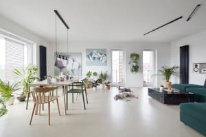 A modern living room with white walls, a black marble coffee table, green plants, and two dogs laying on the floor.