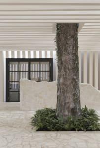 A modern entrance porch featuring a large tree surrounded by plants on a concrete patio with a stone wall and black-framed gl