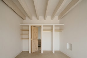 Minimalist closet with vertical wood shelves and a wooden door.