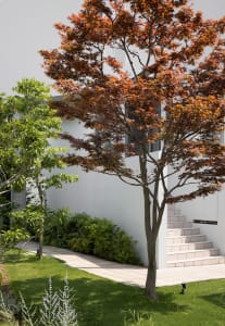 Modern exterior architectural design featuring a white wall and glass front door.