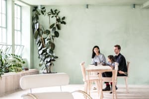 A cozy residential interior with wooden furniture and green plants.