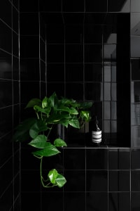 A minimalist black tile bathroom with greenery and a bottle of Aesop product.