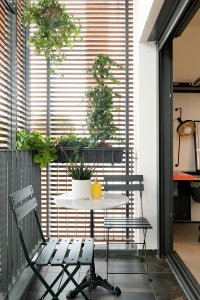 A minimalist patio featuring concrete furniture, greenery, and plants.