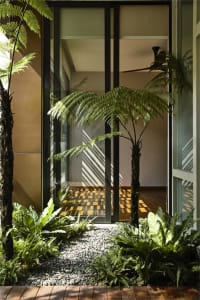 Modern entrance garden featuring glass doors, cactus, and a cactus plant.