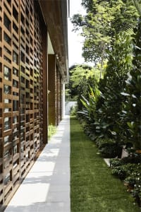 An outdoor walkway with a modern design featuring wooden panels and concrete materials, surrounded by lush greenery.