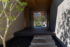 Concrete entrance with wood slat screen and plants, leading to a garden.