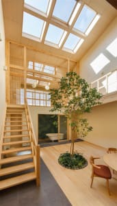 A modern residential interior featuring a wooden staircase, an indoor courtyard with a tree, and a bathroom with a glass wall