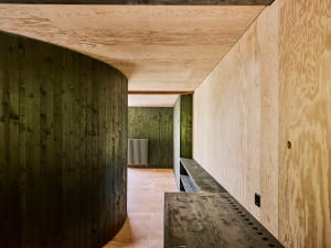 Modern interior design featuring wood plywood walls and flooring in industrial style.