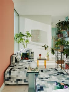 A modern living room featuring colorful cushions and a patterned couch with a variety of indoor plants.